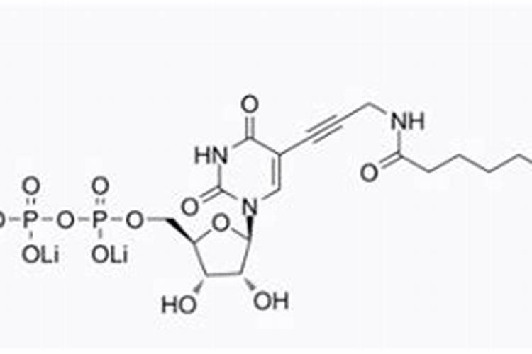 磷酸的主要用途有哪些？