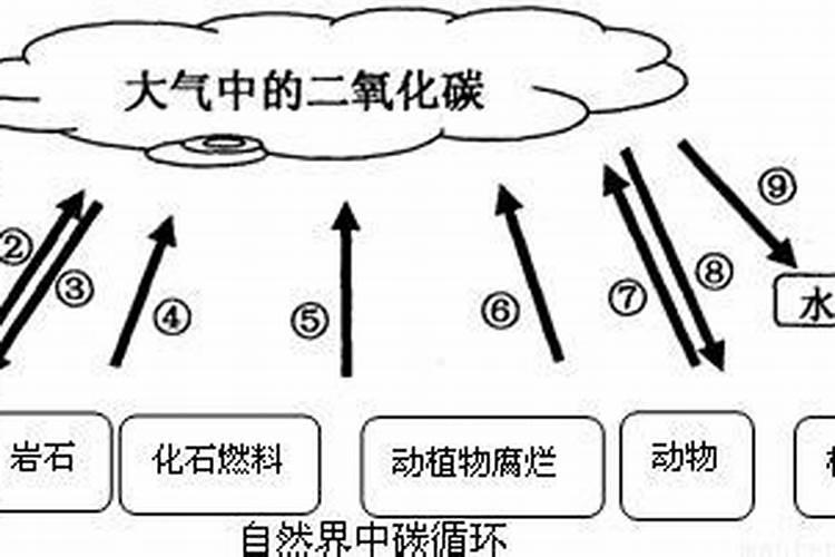 ...作为钾肥施放于土壤中的是;A氢氧化钾 B硫酸钾 C硝酸钾 D草木灰...
