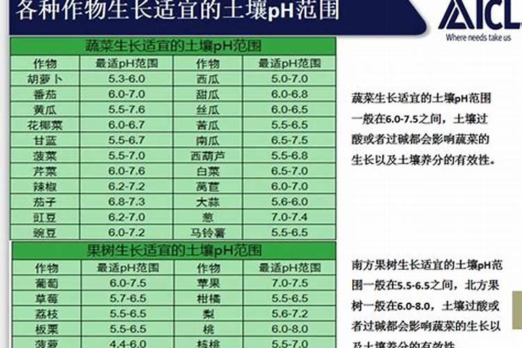 中微量元素一次施多少