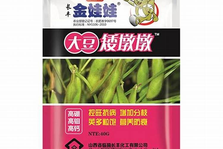 金娃娃萱草北方冬天室外能过冬吗