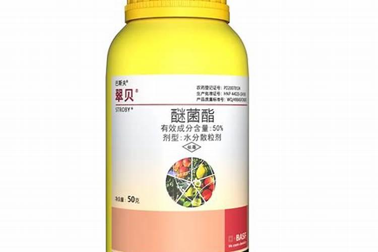 黄瓜打什么药长得好又高产