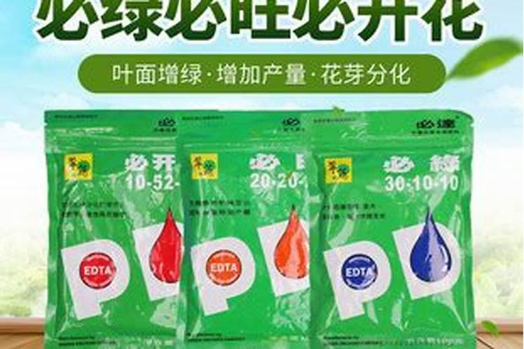 摇钱树要怎么养才能爆盆 摇钱树要如何养才能爆盆