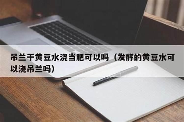 吊兰最爱这种“肥”,喂上几粒,黄叶干尖都没有,嫩芽突突冒!