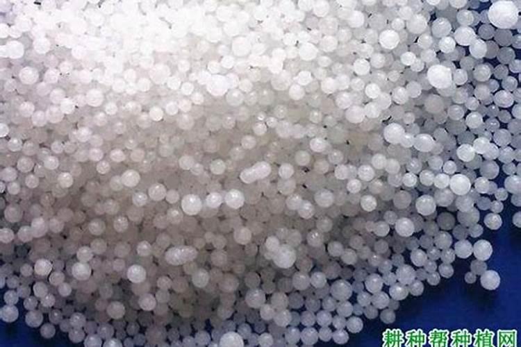 香蕉高产用什么叶面肥好？可以给香蕉使用膨大剂吗？