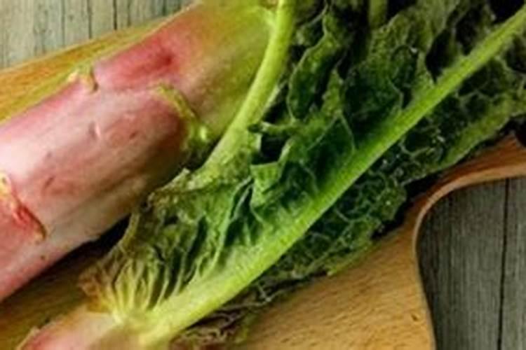 莴苣用什么肥料变高变粗 附莴苣的种植方法