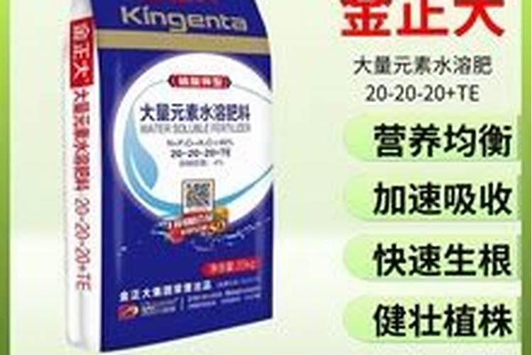 天脊16620硝酸钾水溶肥的批发价格是多少？
