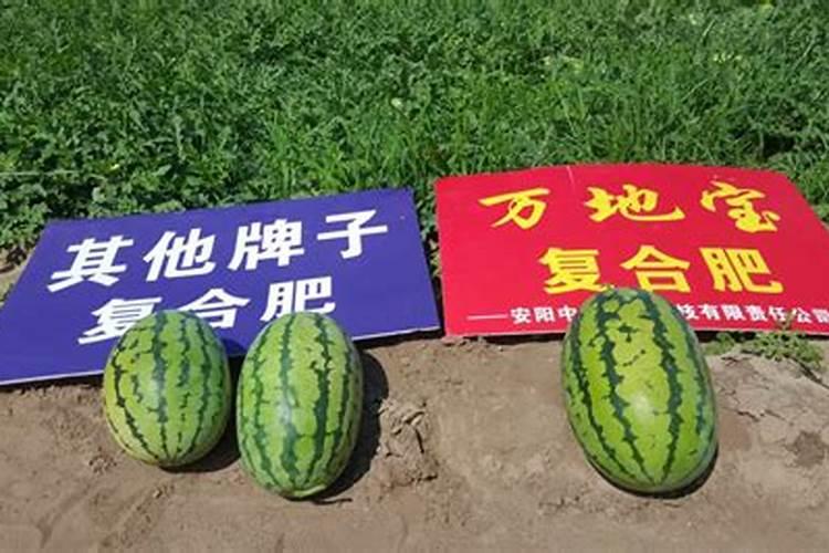 中国水溶肥的前十名中国十大水溶肥排名