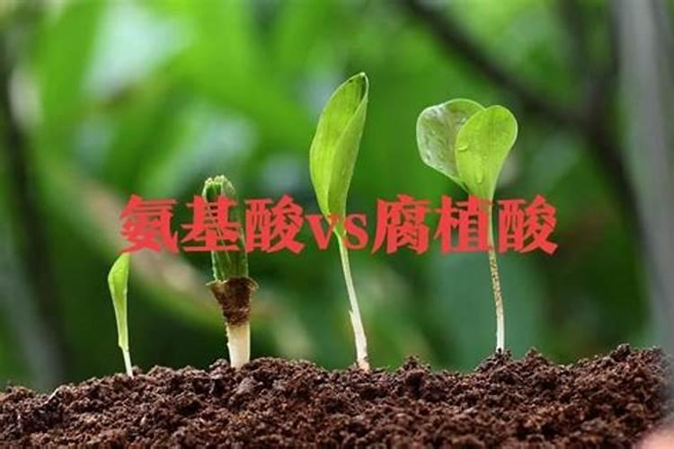 水溶肥料调节碱的物质是什么