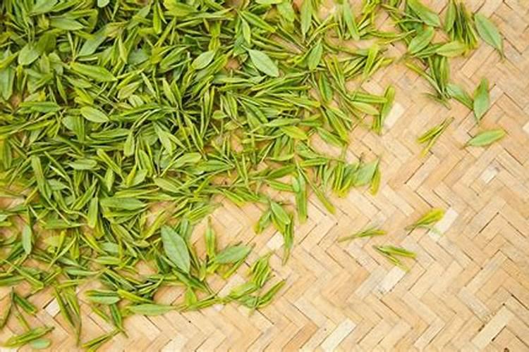 茶叶施什么肥好