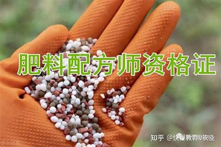 水溶肥哪种效果好