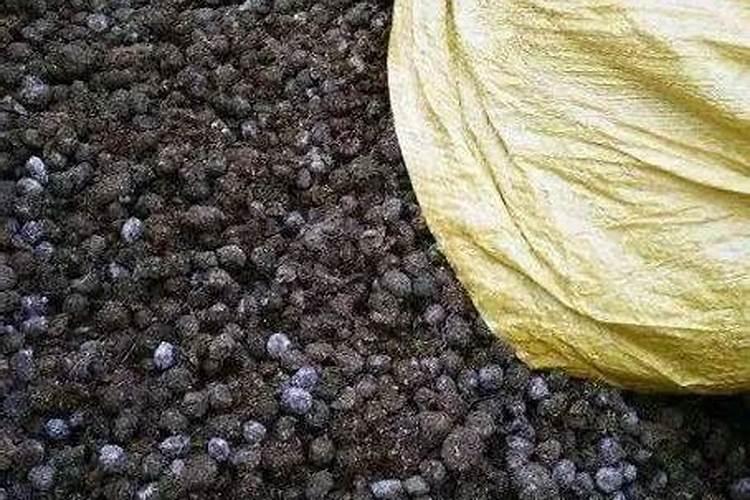 怎么能快速腐熟鸡粪做肥料不烧根