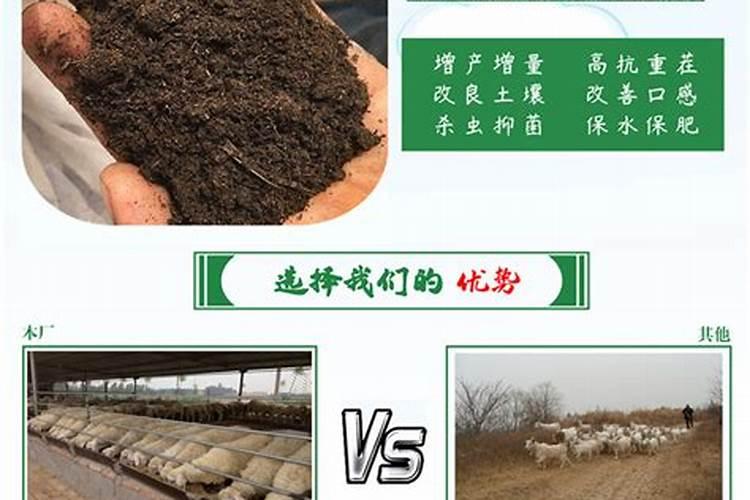 鸡粪发酵做有机肥真的不烧苗烧根吗