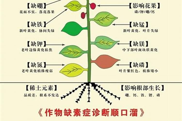 磷肥,氮肥,钾肥,都各有什么用？