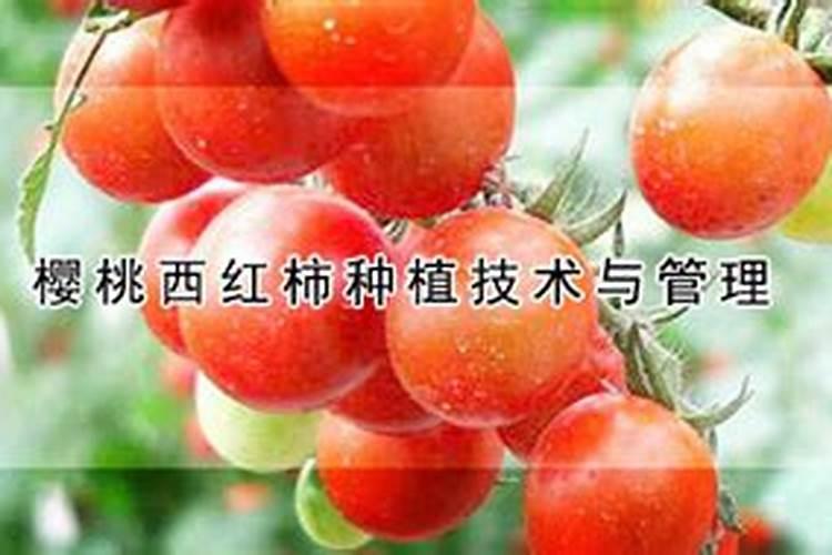 老师这是齐腐吗？充实钙肥可以吗
