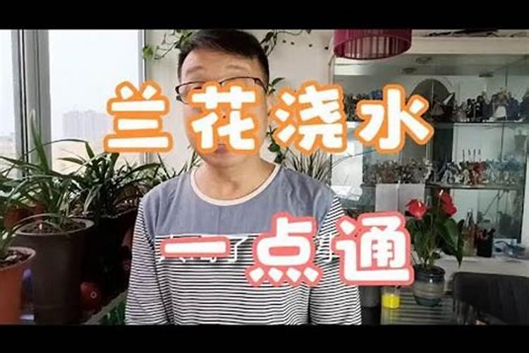 尿素可以兑水浇花吗