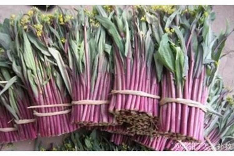 黄瓜种植甜脆直要放什么肥料