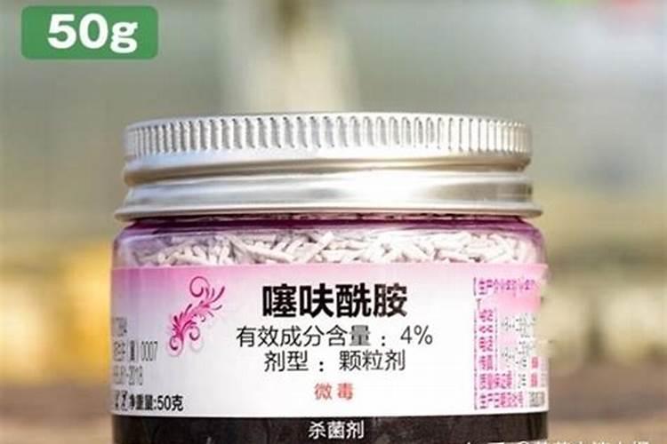 怎么选黄瓜叶面肥？
