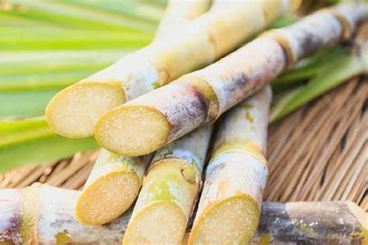红糖能当做肥料喂苹果树吗