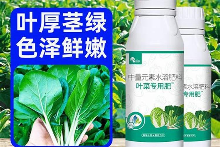 绿植施肥用什么肥料最好 给绿植施4种肥长得好