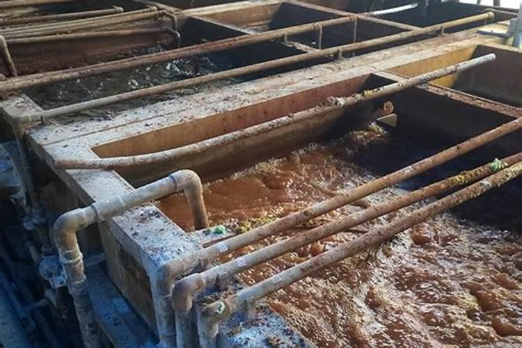 黄豆叶面肥什么时候打好 使用哪些肥料好