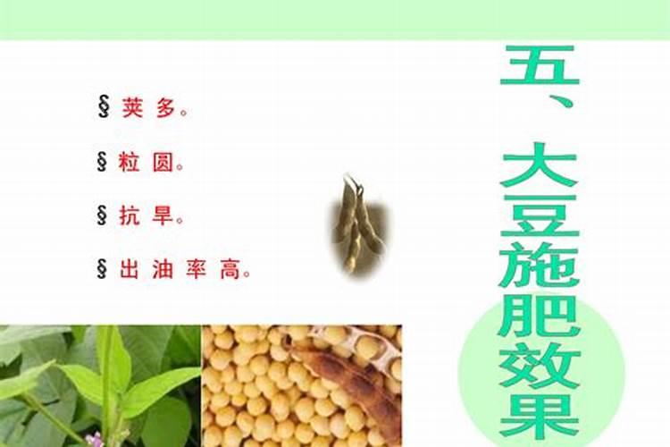 种毛豆到底要不要施肥