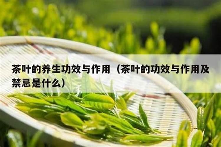 茶叶用什么化肥好