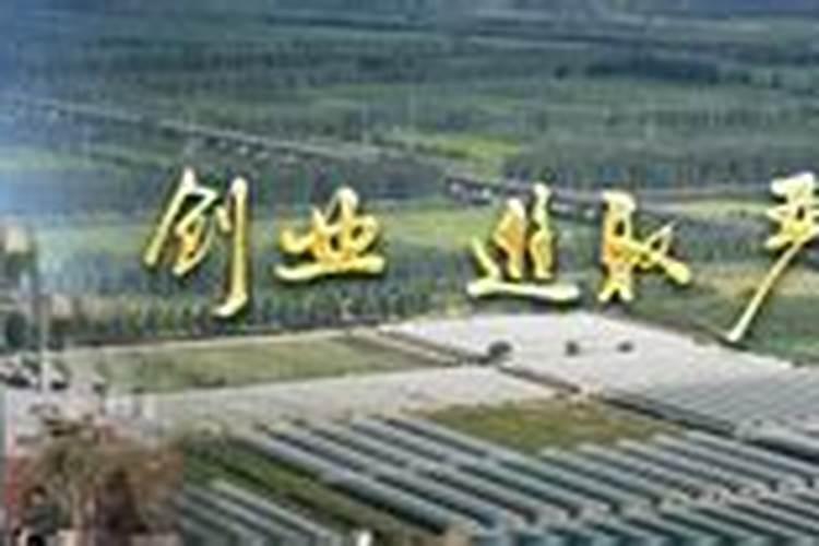 阳台黄瓜种植技术家养盆栽黄瓜需要注意什么