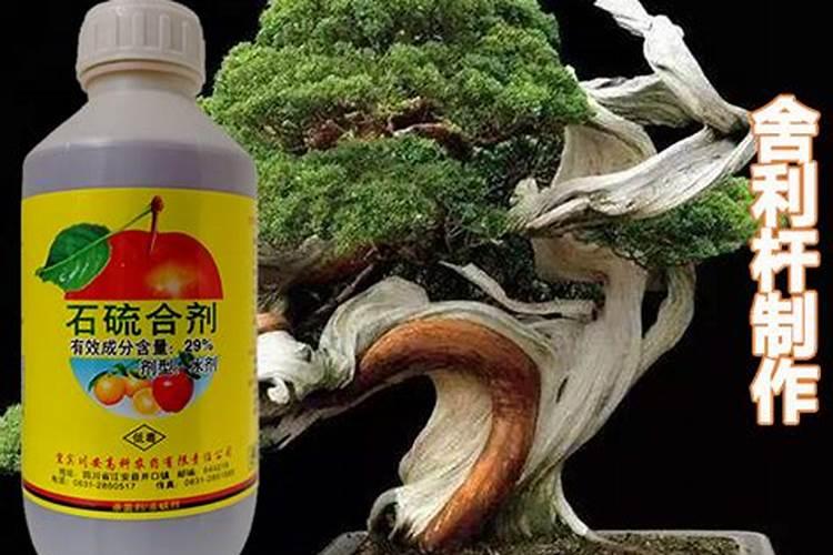 葡萄怎样菅理才能高产？