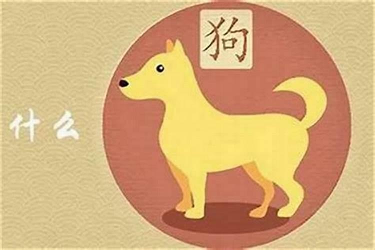 中量元素水溶肥料一般用在什么蔬菜上？