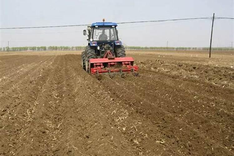 玉米秸秆还田地播种小麦还用上钾肥吗