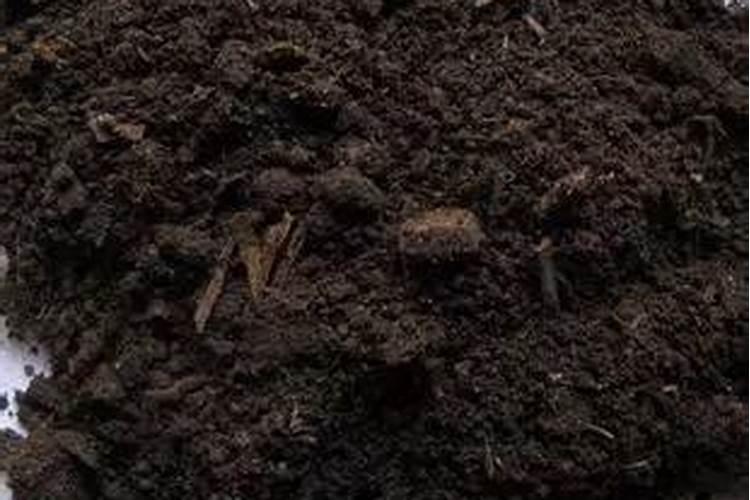 腐植酸肥料使用大忌