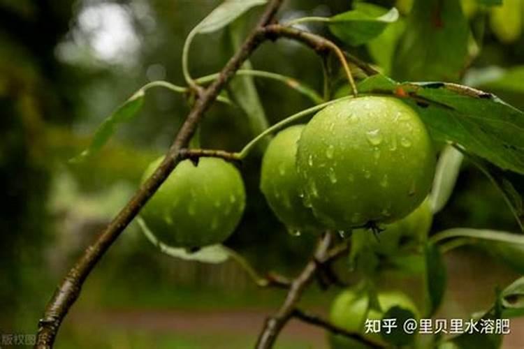 水溶肥坑太深,这些水溶肥别再买了···