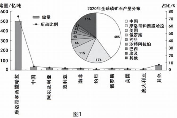 湖北荆襄磷化集团的发展简史