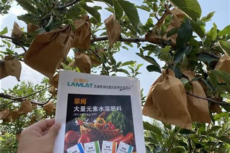 沈阳牡丹园地址在哪里？