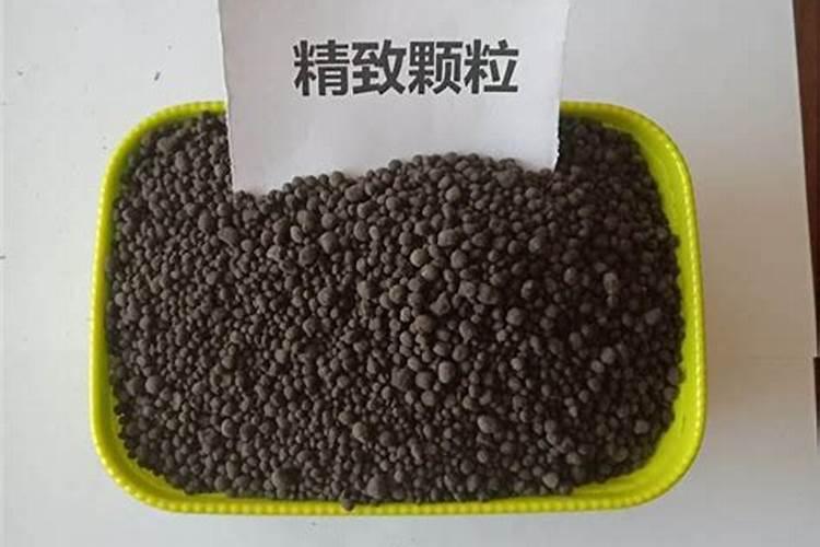 糖化硼肥片真能防虫吗