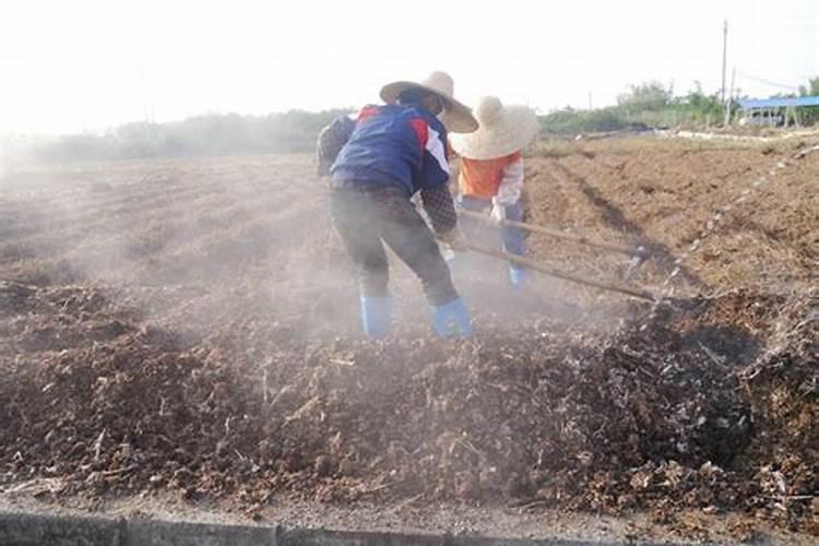 水溶肥排名前十位的有哪些品牌