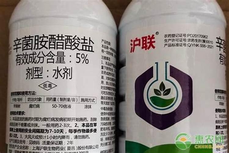 花生花叶病症状及防治方法