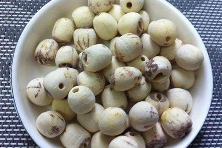 家庭养花技巧大全