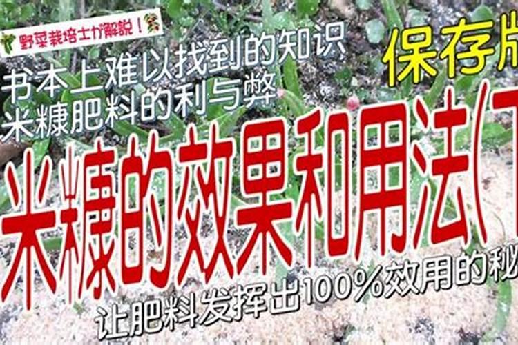 怎样给植物施肥