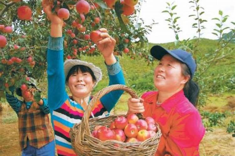 请问国内知名作物专用肥哪个好？