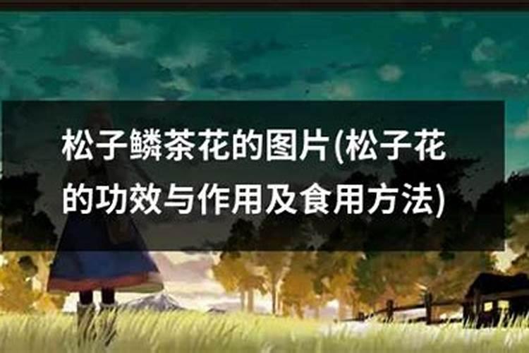 请问老师花椰菜(白松花)各生长期的施肥要领