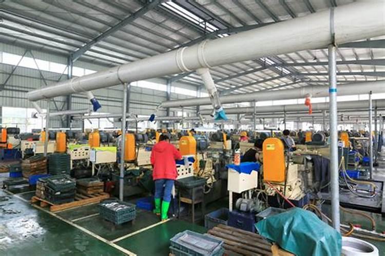 延秋松花菜种植技术