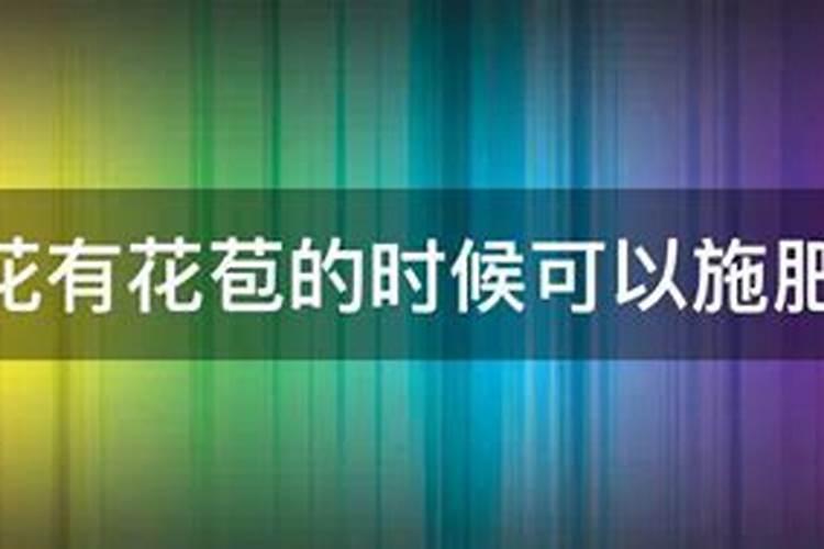 微肥是什么？