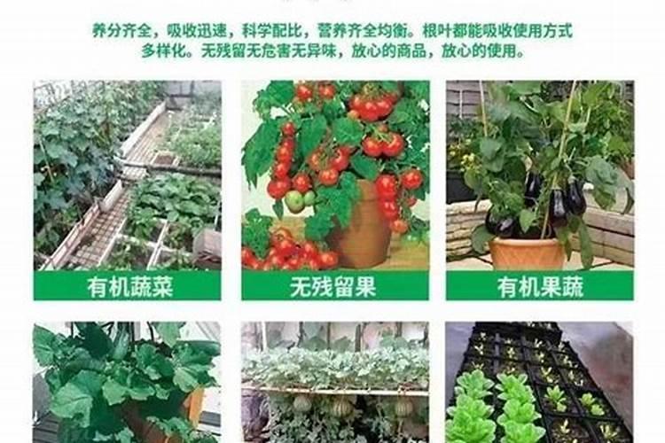 三聚氰氨俗名是不是尿素？
