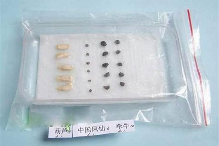 硼肥的作用与功效及使用方法