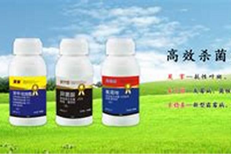 卡希诺水溶肥厂家在哪