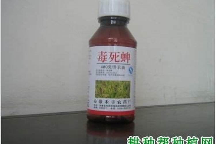 毒死蜱灌根能杀死天牛幼虫吗