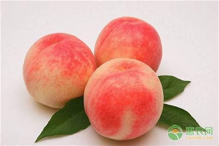 桃树施什么肥料桃子甜 如何施肥效果好