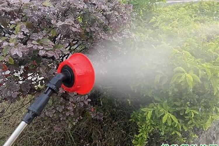 园林植物的施肥