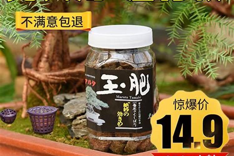 种植当归用什么肥料
